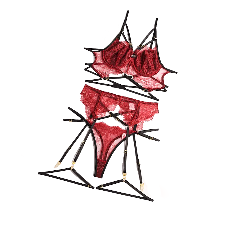 مجموعة ملابس داخلية مثيرة من ا - مراجعة Sheer Bra Lace وسعره